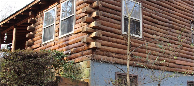 Alabama Log Home Repair Saraland, Alabama