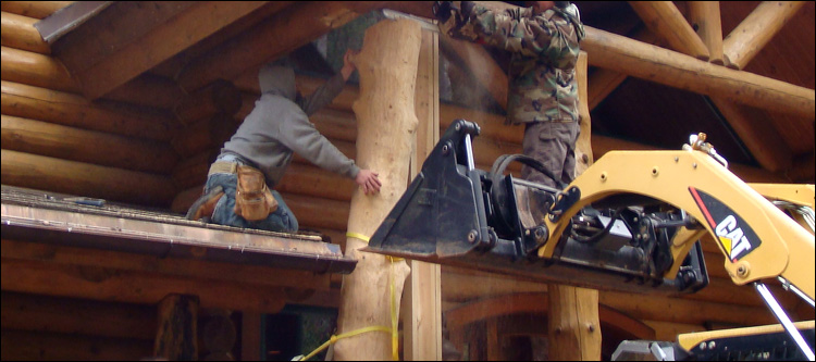 Log Home Log Replacement  Citronelle, Alabama